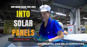 Solar Panels: Energy Return on Investment?