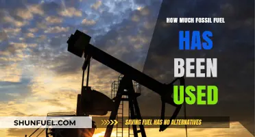 Tracking Humanity's Fossil Fuel Consumption: A Historical Usage Overview