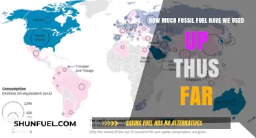 The World's Fossil Fuel Consumption So Far