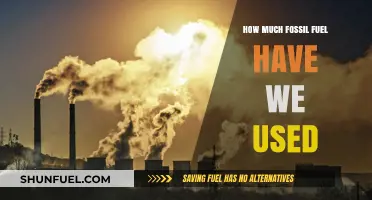 Tracking Humanity's Fossil Fuel Consumption: A Historical Overview and Impact