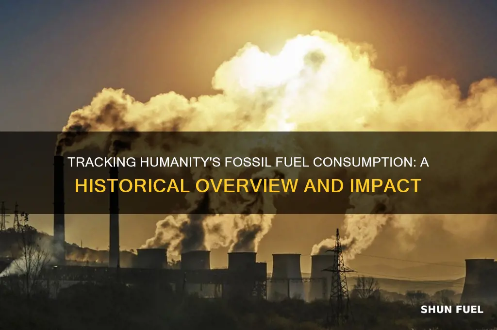 how much fossil fuel have we used