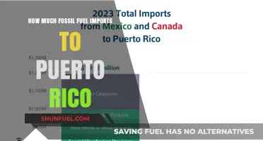 Puerto Rico's Fossil Fuel Imports: How Much and From Where?
