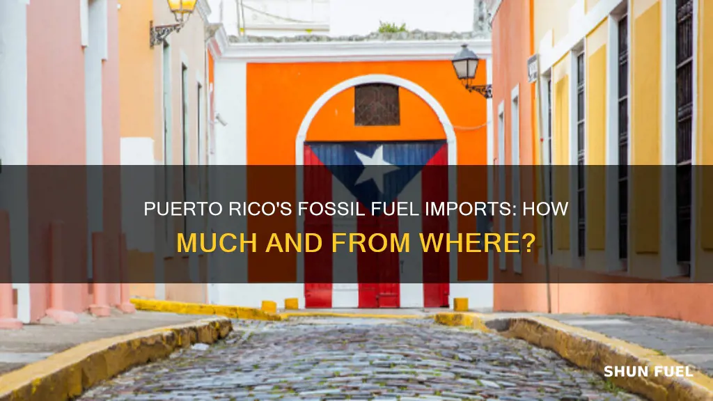 how much fossil fuel imports to puerto rico