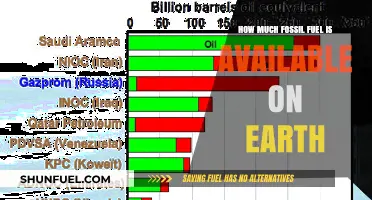 The Earth's Fossil Fuel Supplies: How Much is Left?