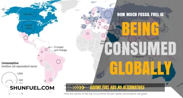 Global Fossil Fuel Consumption: An Urgent Concern