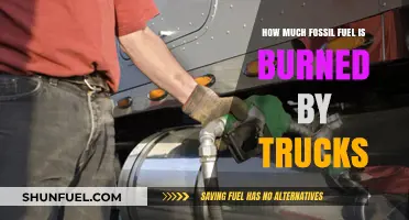 Trucks' Fossil Fuel Consumption: Burning Too Much?