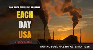 The US's Daily Fossil Fuel Consumption: Burning a Hole