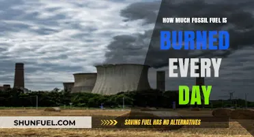 The World Burns: Fossil Fuel Consumption Daily