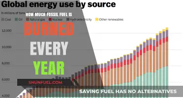 The World's Annual Fossil Fuel Consumption