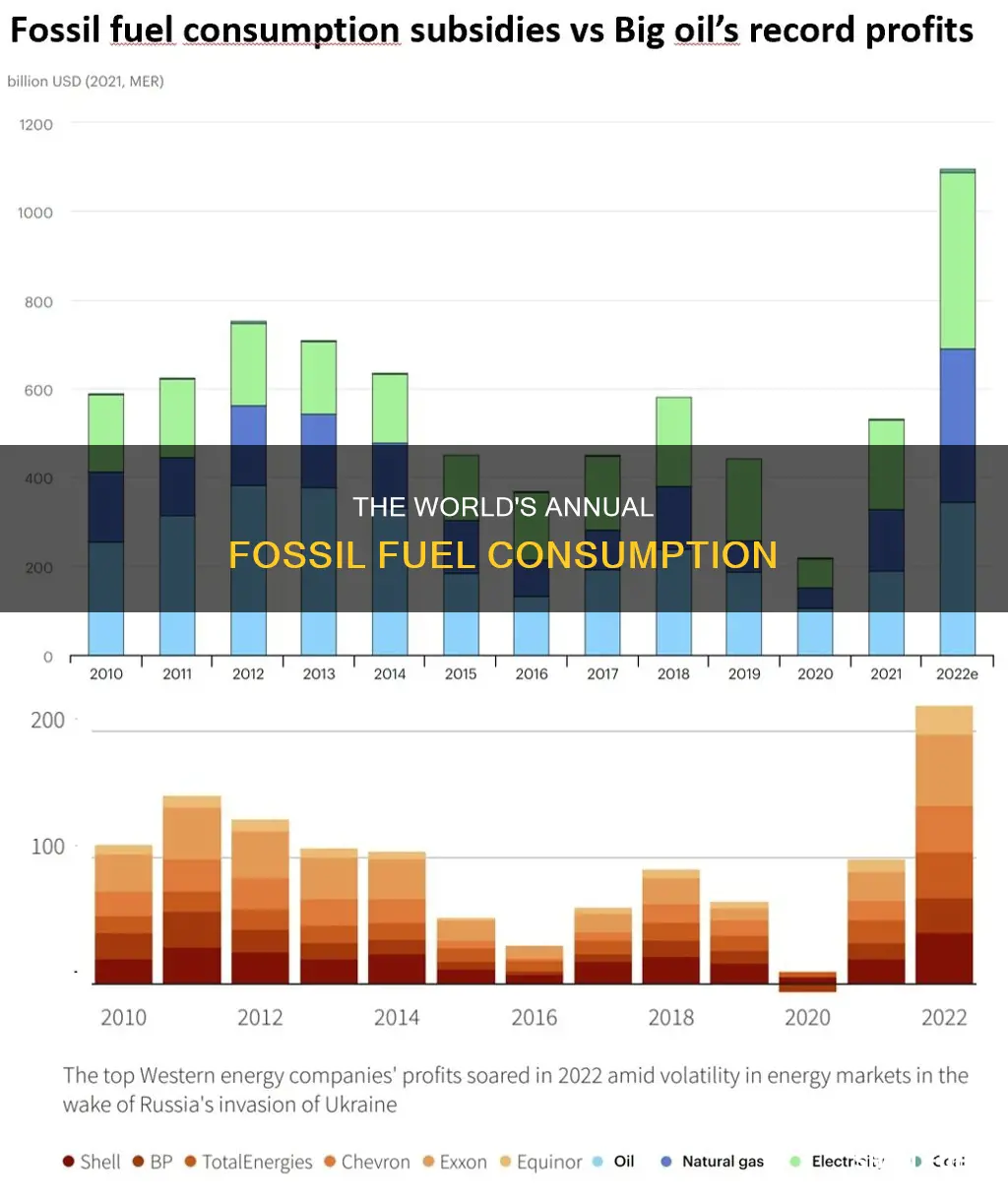 how much fossil fuel is burned every year