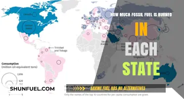 Fossil Fuel Usage Across States: Burning Statistics