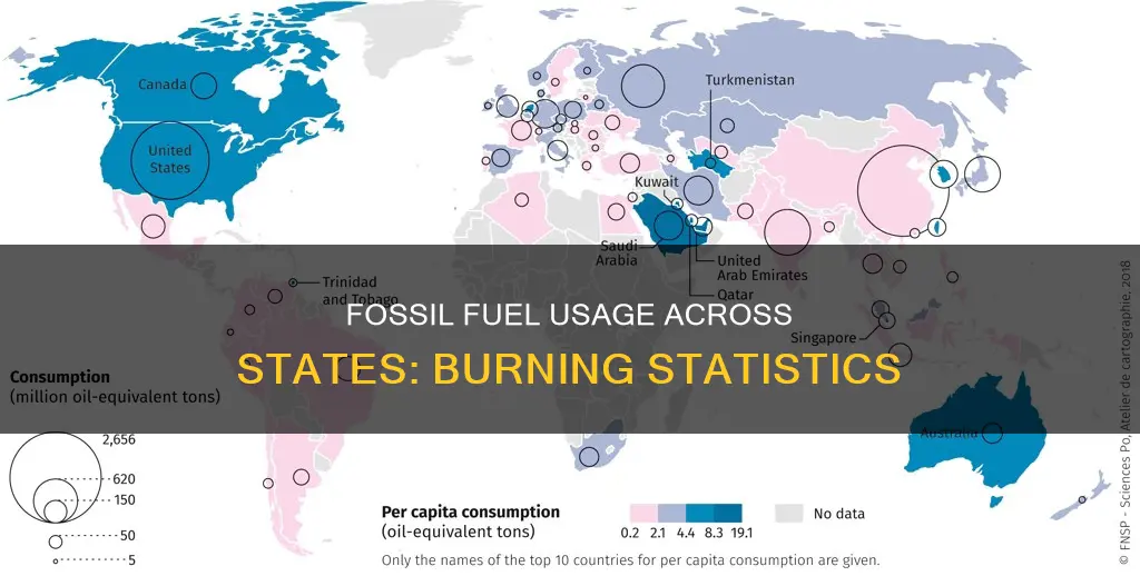 how much fossil fuel is burned in each state