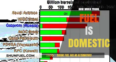 Fossil Fuel Usage: How Much Is Domestic?