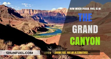 Exploring the Grand Canyon's Fossil Fuel Reserves: Myths vs. Reality