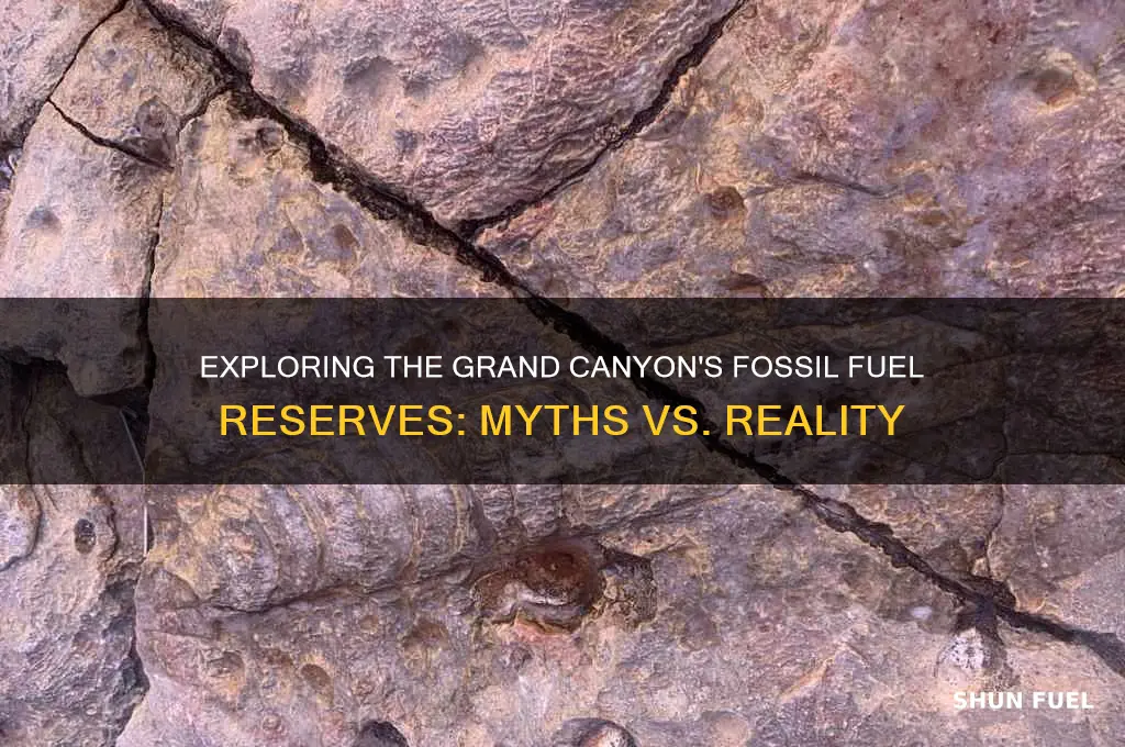 how much fossil fuel is in the grand canyon