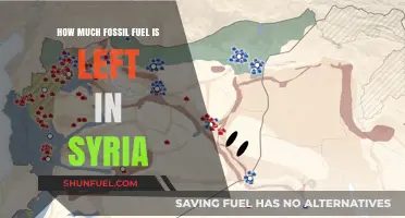 Syria's Fossil Fuel Supplies: What's Left?