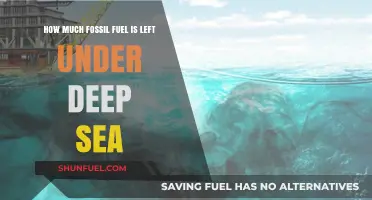 Deep Sea Fossil Fuel: How Long Will It Last?