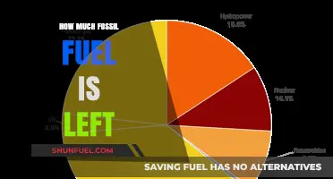 The World's Remaining Fossil Fuel Reserves: How Long?