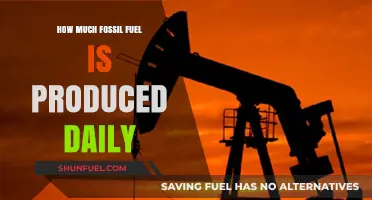 The World's Daily Fossil Fuel Consumption