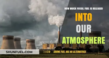 The Impact of Fossil Fuel Emissions on Our Atmosphere
