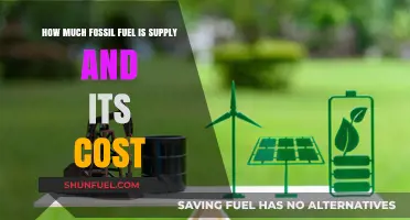 Fossil Fuel Supply: Costly and Finite