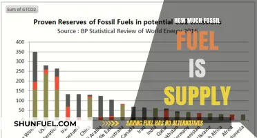 Global Fossil Fuel Reserves: Assessing Current Supply and Future Outlook