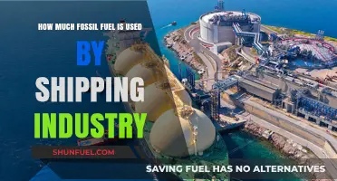 Shipping Industry's Fossil Fuel Consumption: How Much is Too Much?
