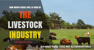 Livestock's Fossil Fuel Consumption: A Huge Environmental Concern