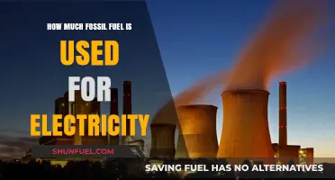 Fossil Fuel Consumption: Powering Electricity Generation and Its Impact