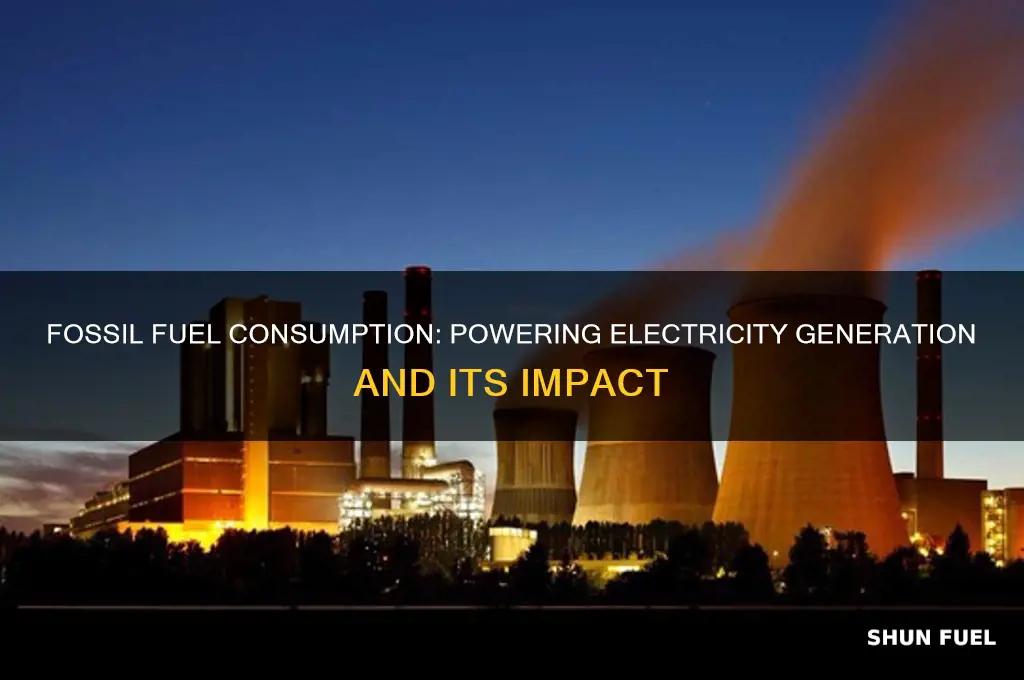 how much fossil fuel is used for electricity