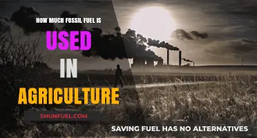 Agriculture's Fossil Fuel Dependence: How Much is Too Much?