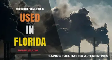 Florida's Fossil Fuel Consumption: A Deep Dive