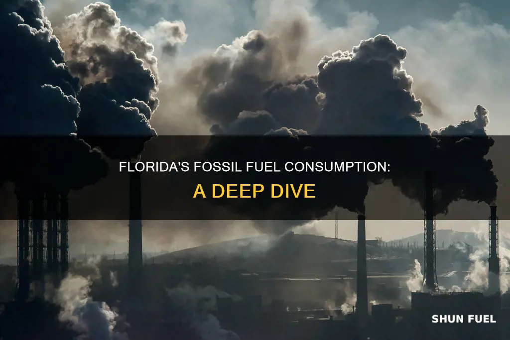 how much fossil fuel is used in florida