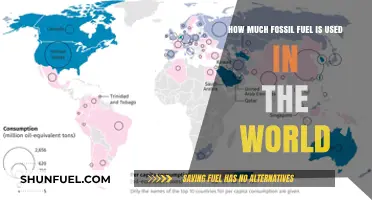 The World's Fossil Fuel Consumption