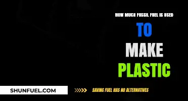 The Plastic Problem: Fossil Fuel Consumption