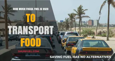 The Carbon Cost of Food Transportation