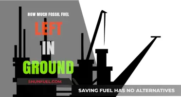 The World's Remaining Fossil Fuel Reserves: How Long Will They Last?