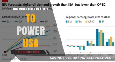 The USA's Fossil Fuel Power: How Much is Needed?
