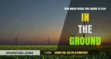 Preserving Our Future: Keeping Fossil Fuels Underground