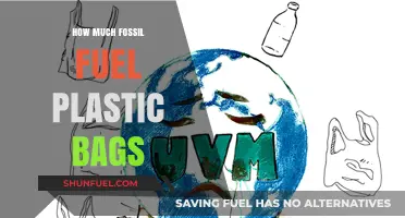 The Plastic Bag Problem: Fossil Fuels and Pollution