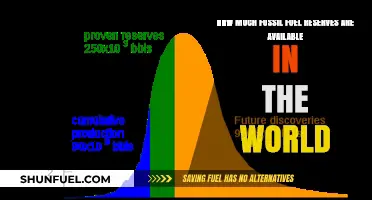 Fossil Fuel Reserves: How Much is Left?