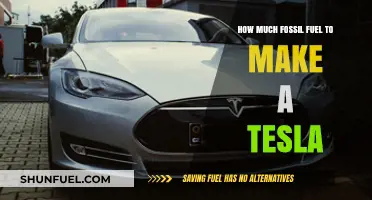 Fossil Fuels Powering Tesla's Electric Dream