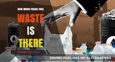 The World's Fossil Fuel Waste Crisis