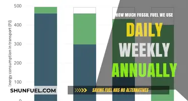 Our Fossil Fuel Consumption: Daily, Weekly, Annual Breakdown