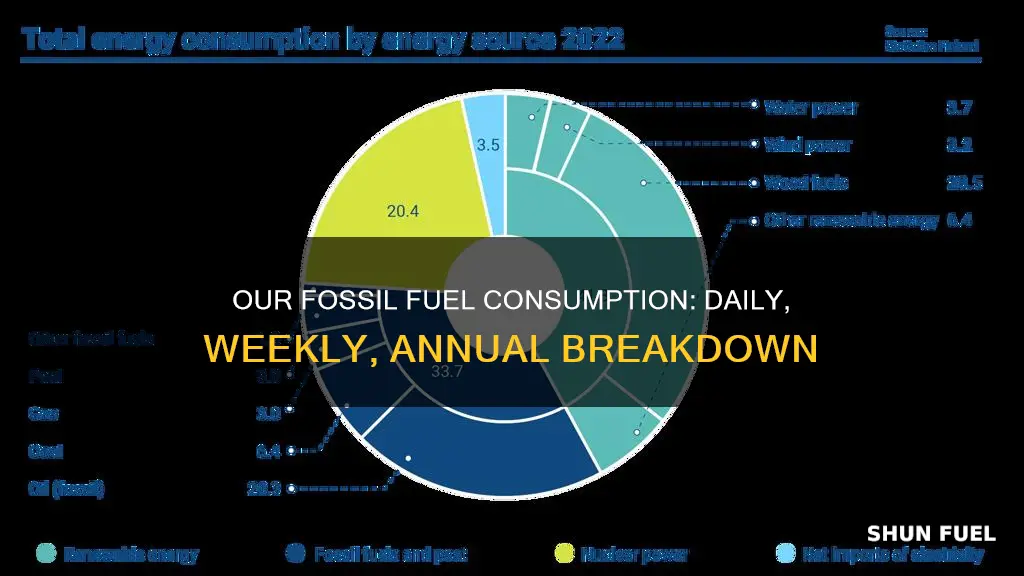 how much fossil fuel we use daily weekly annually