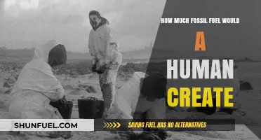 Human-Generated Fossil Fuels: Energy Impact