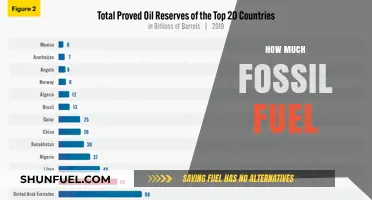 The World's Reliance on Fossil Fuels