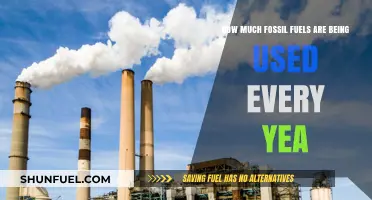 The World's Staggering Fossil Fuel Consumption