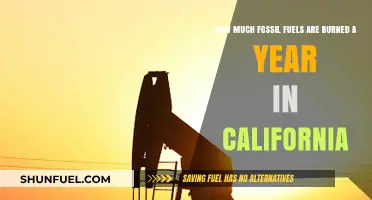California's Fossil Fuel Consumption: Burning Statistics