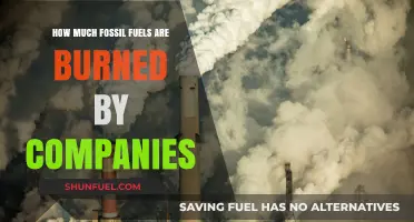 The Cost of Fossil Fuels: Burning Through Our Future